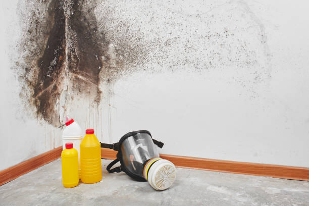 Best Residential Mold Remediation in Kingfisher, OK