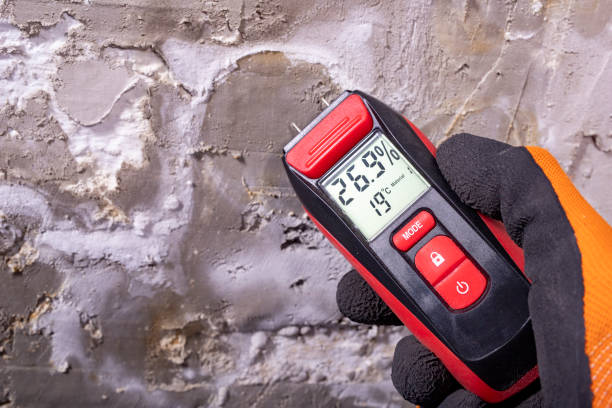 Best Commercial Mold Remediation in Kingfisher, OK