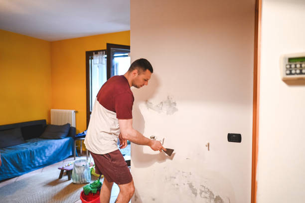 Best Mold Remediation for Specific Building Types in Kingfisher, OK